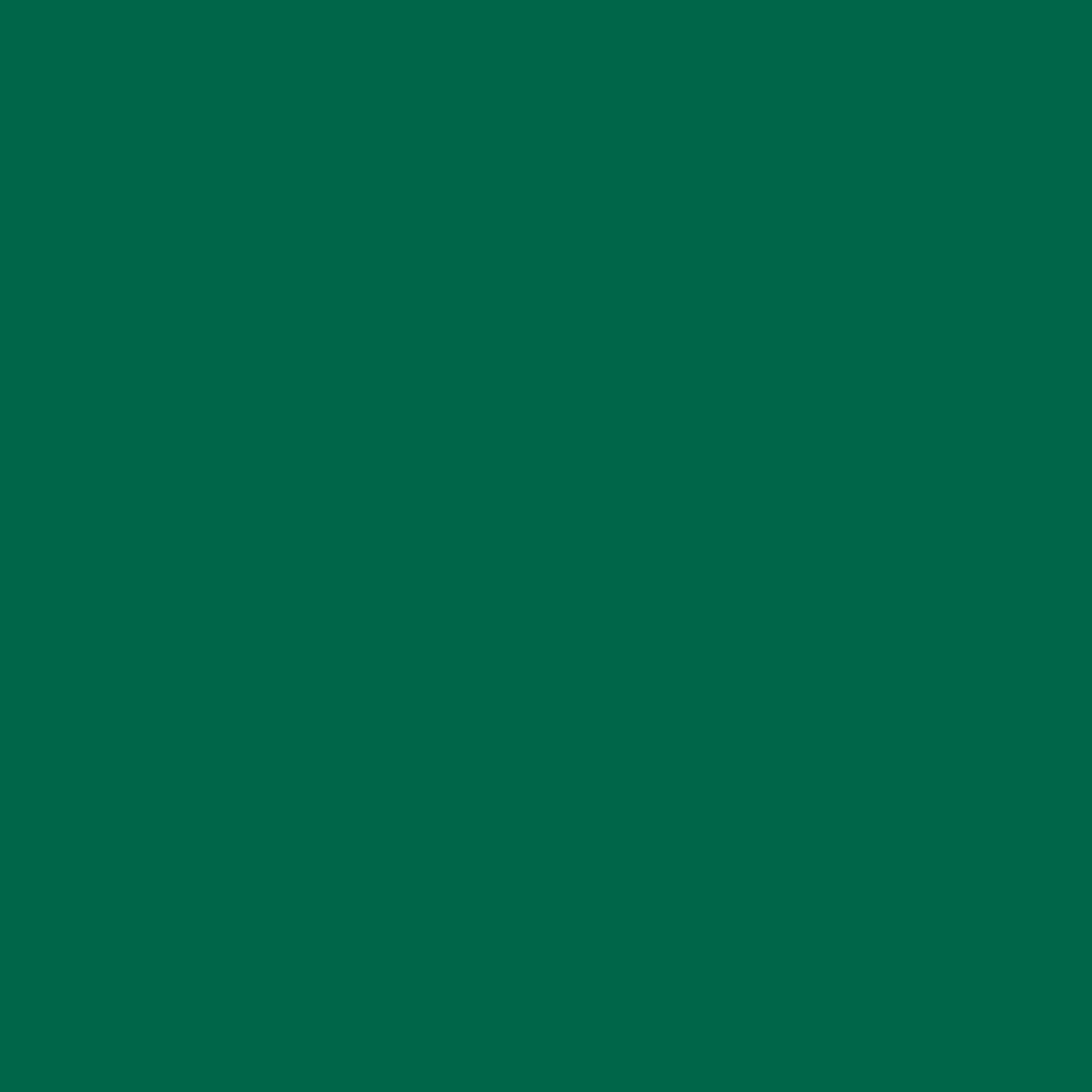 Grass Green Fabric Dye Spray